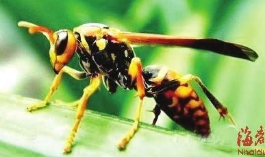 請(qǐng)?zhí)砑訄D片
