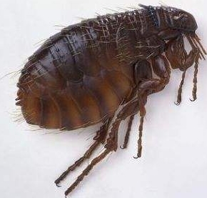 請?zhí)砑訄D片