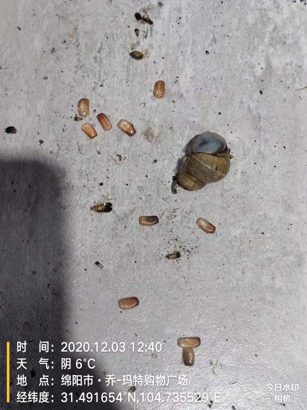 \